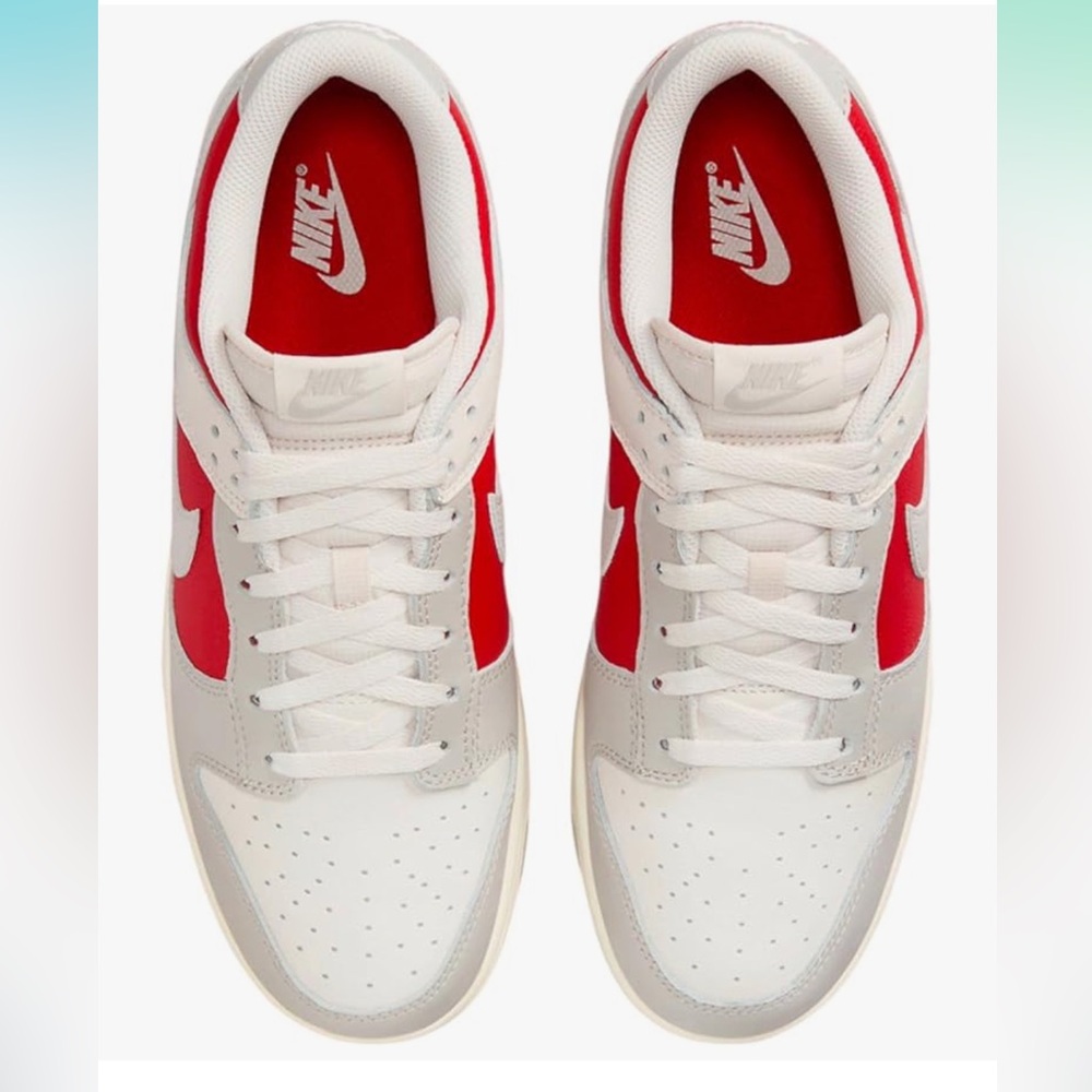 Nike Dunk Low Light Iron Ore Gym Red Men's Sz 11  HJ9093-030 Grey White Red - Picture 3 of 9
